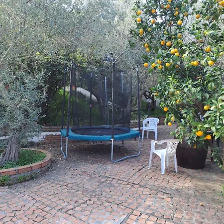 Gatto Alice Bed & Breakfast Rometta Marea