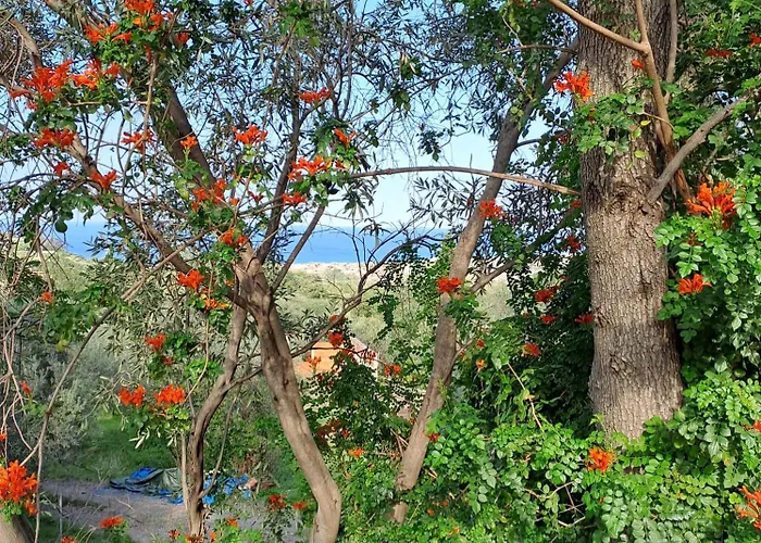 Bed & Breakfast Gatto Alice Rometta Marea